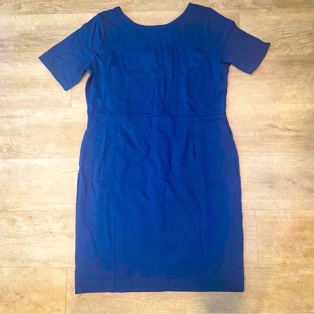 NWT Petite Blue Knit Dress